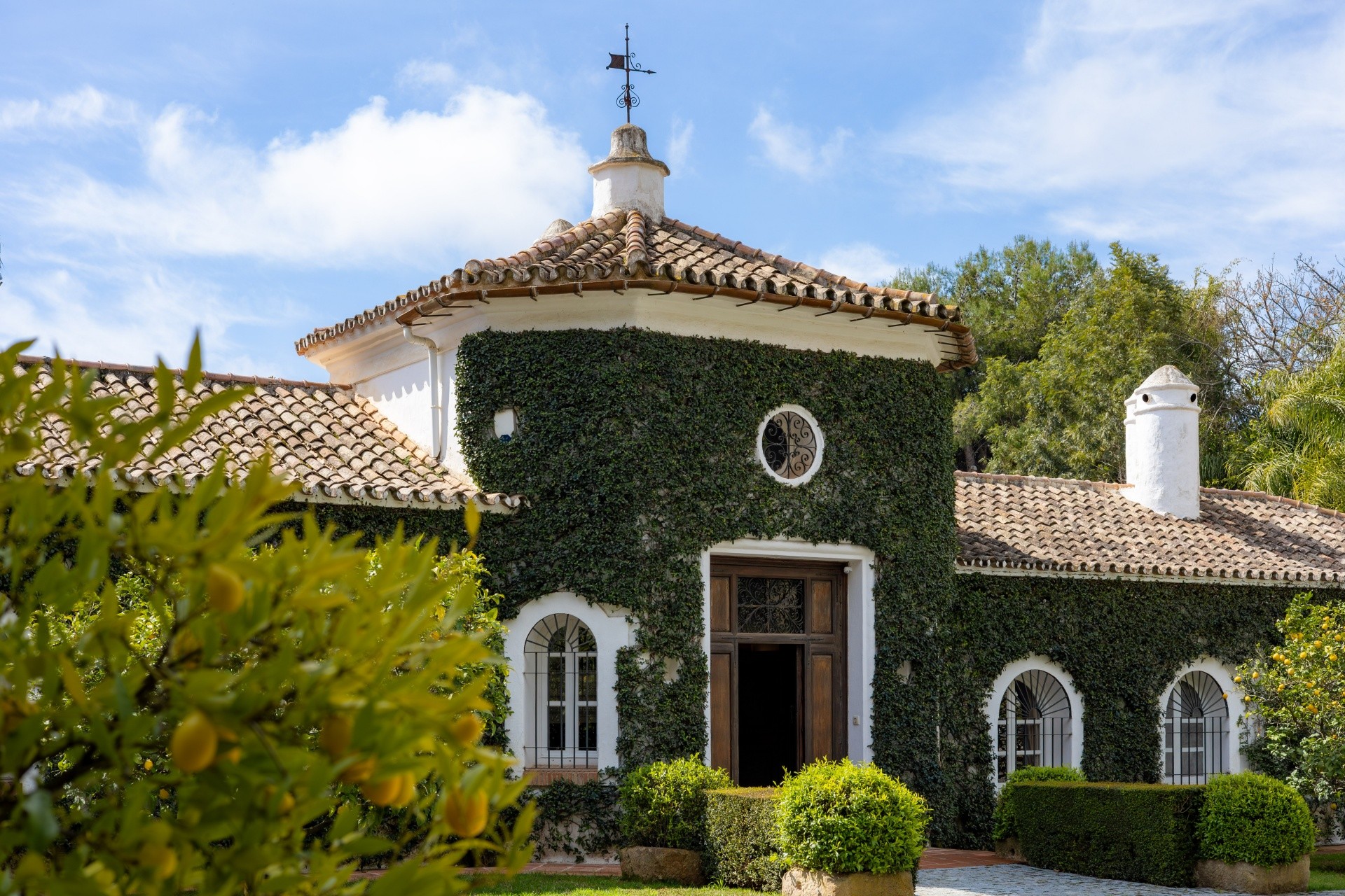 Nagüeles, Marbella