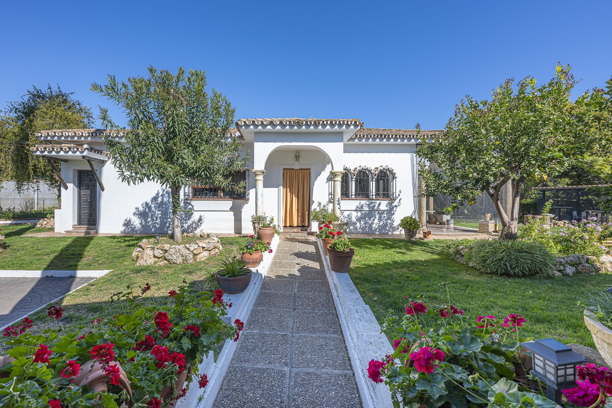 Guadalmina Alta, San Pedro de Alcántara
